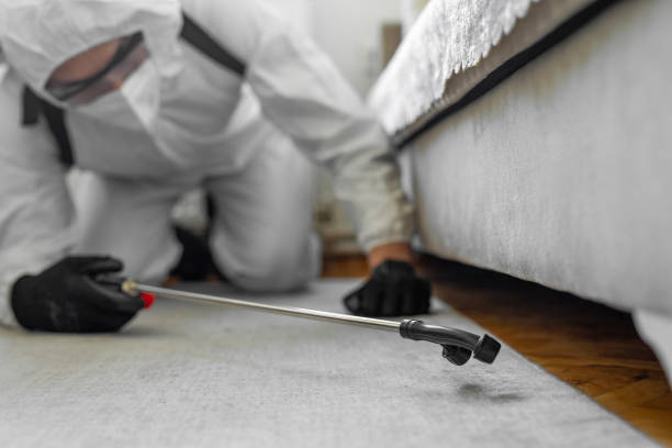 Professional Termite Control technician working in Buchanan, GA
