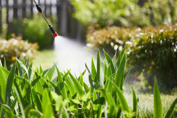 24/7 Emergency Termite Control experts in Buchanan, GA