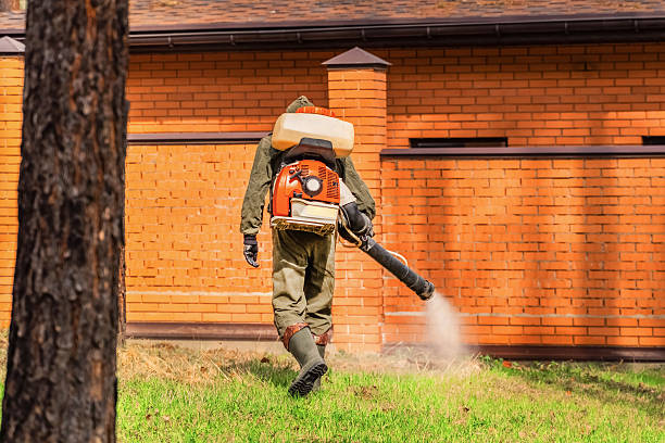 Top rated local Termite Control specialists in Buchanan, GA